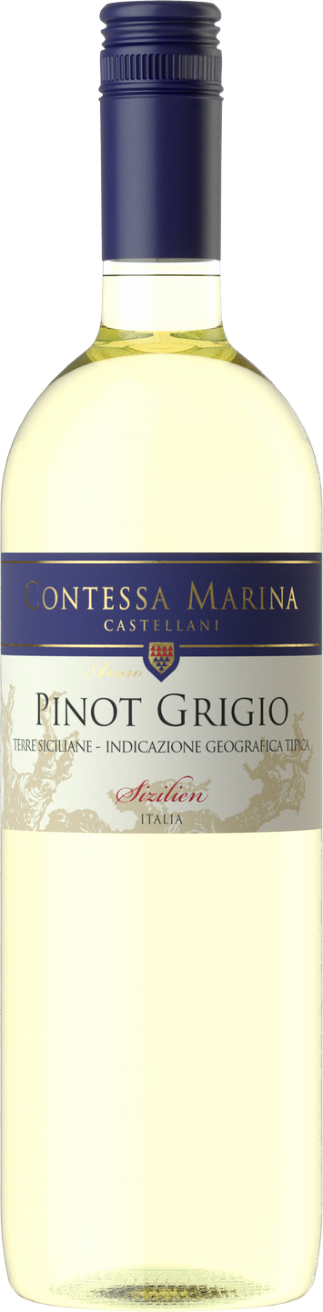 Pinot Grigio Weißwein Contessa WinzerWelt Saffers trocken | Weißwein | IGT Wein Terre Siciliane Weinart Marina | Sizilien 