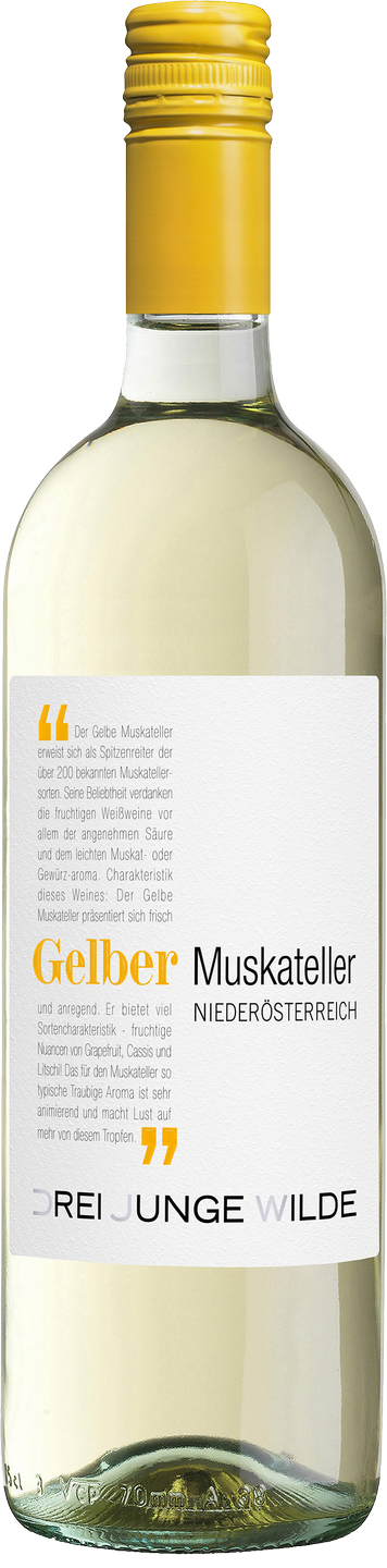 Weißwein trocken Wilde Drei Gelber Muskateller | WinzerWelt | Saffers Weinart | QUW Weißwein Burgenland | Wein Junge