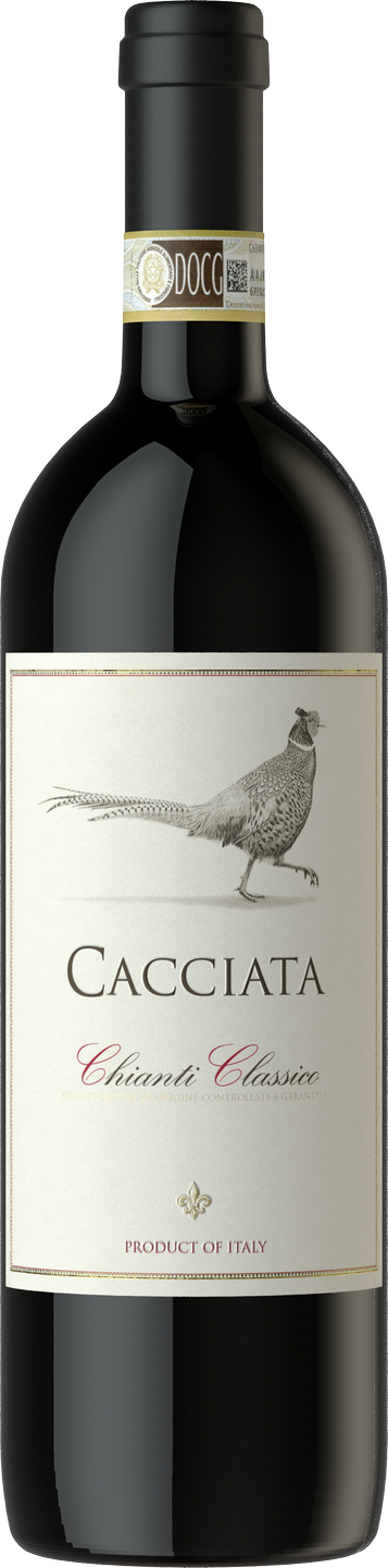 Rotwein Cacciata Toskana Castellani Weinart | Saffers trocken Wein Classico Rotwein WinzerWelt DOCG | | | Chianti
