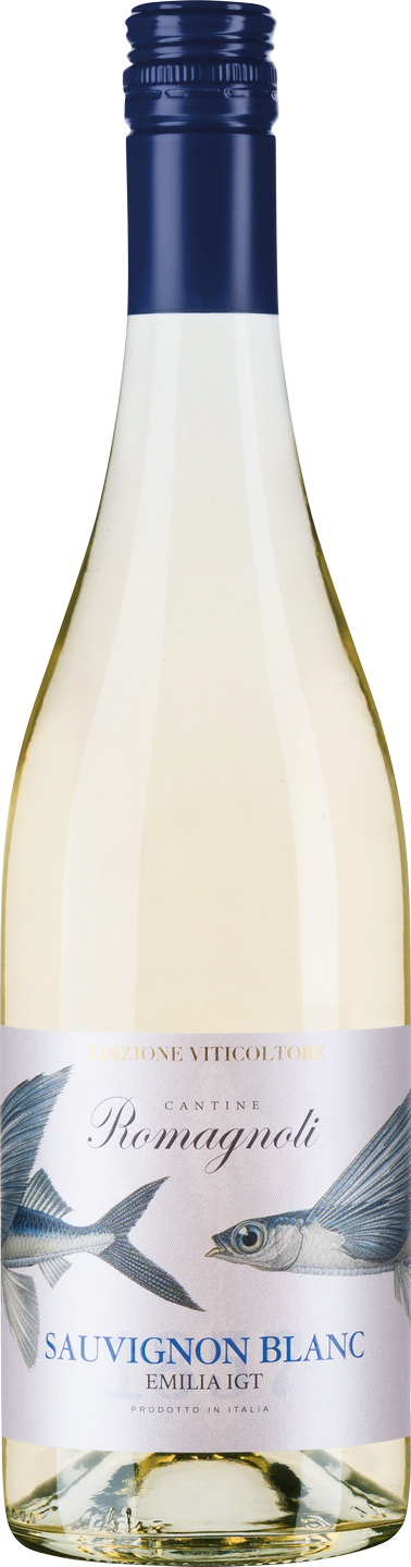 Sauvignon Blanc | Venetion WinzerWelt Saffers | Edizione Wein Emilia | Viticoltore | Weißwein IGT Weinart Weißwein trocken