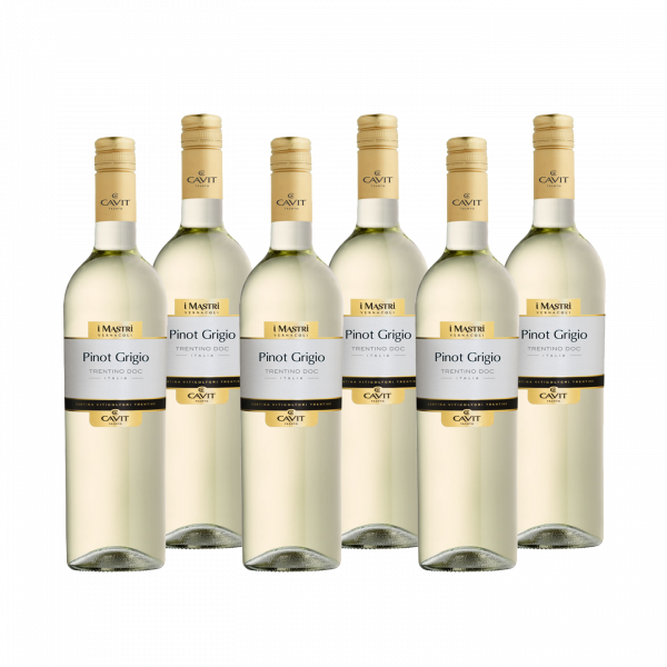 Pinot Grigio Trentino DOC Mastri Vernacoli Trentin Weißwein trocken (6 x 0,75 l)